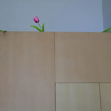 Resart Traditional House Hotel *