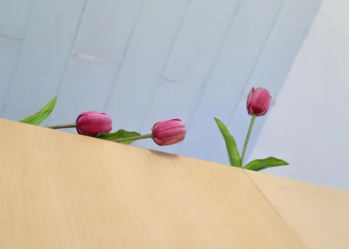 Resart Traditional House 酒店 *